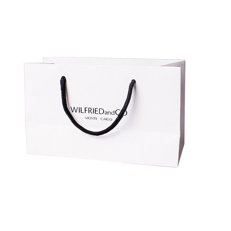 Paper Bag With Color Logo Printing