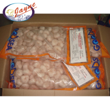 New products on the market 2020 best selling iqf frozen red prawn shrimp