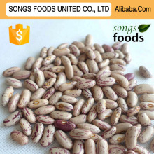 Light Red Kidney Beans New Crop