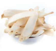 good price Knotty Yam factory