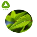 Нем листья экстракт азадирачтин 1% -5% жидкости 11141-17-6