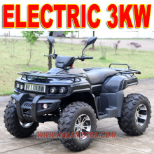 Electric Quad 2000W