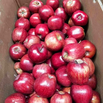 Fresh Fruits Red Star