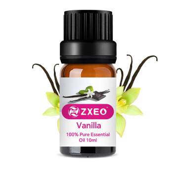 Pure Aromatherapy Organic Vetiver Essential Oil Vetiver Root Oil For Hair Care and Skin