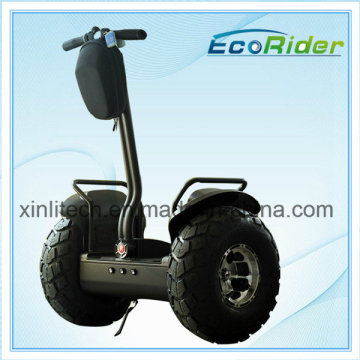 Power Electric Motor Mobility Cars