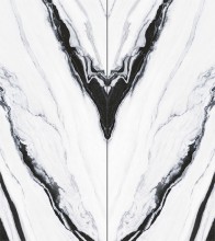 Rock slab type raw stone panda white