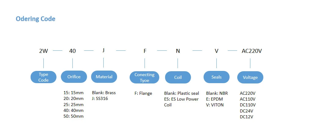 2W Series Flange Zero Differential Pressure Normally Closed Solenoid Valve