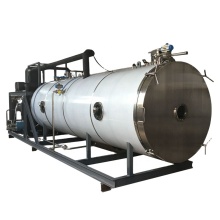 Industrial Lyophilize Machine for Vegetables: Freeze Dryer for Onions, Eggplants, Pumpkins, and Beetroot with Silicone Oil Vacuum