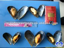 Boiled mussel meat with half shell seafood