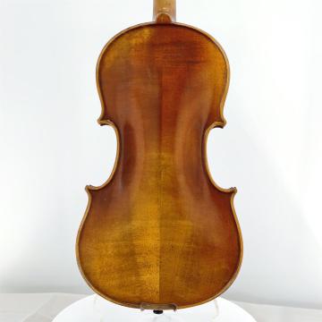 Beginner students ordinary violin