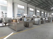Slg85 Modify Starch Machine