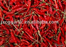 Chinese Chilli