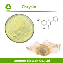 Oroxylum indicum Extrait 98% CHRYSIN POUDRE ANNICANCER