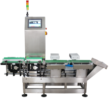 Electronic Dynamic Weight Checker