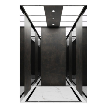 Luxury design passenger elevator
