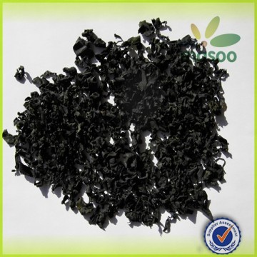 Dried Wakame from Dalian city, clean and delicious