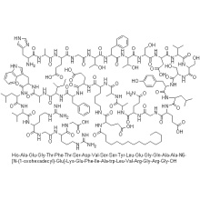 Acetato de Liraglutida de Alta Pureza CAS 204656-20-2