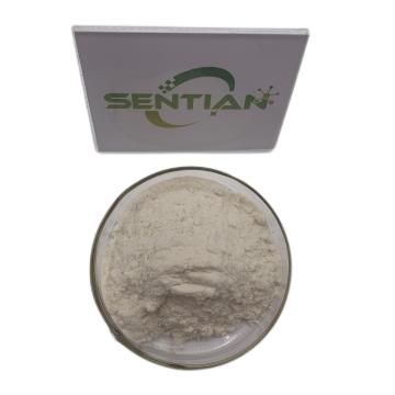 Natural Lipase Enzyme Amylase And Lipase