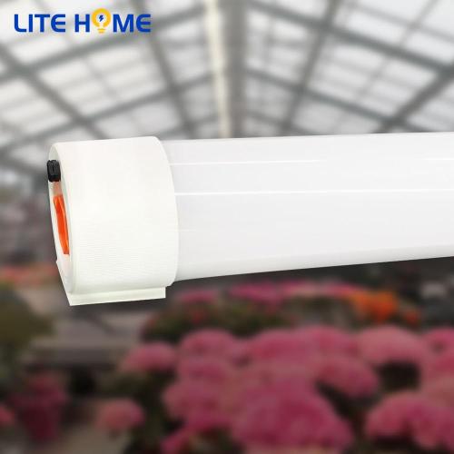 Lampe à tube led 60w 5ft pour salle de bain