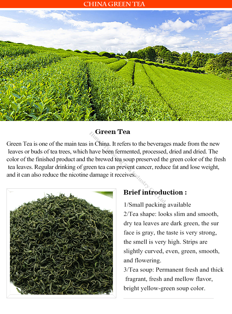 The famous china green tea xiangcha green tea price per kg