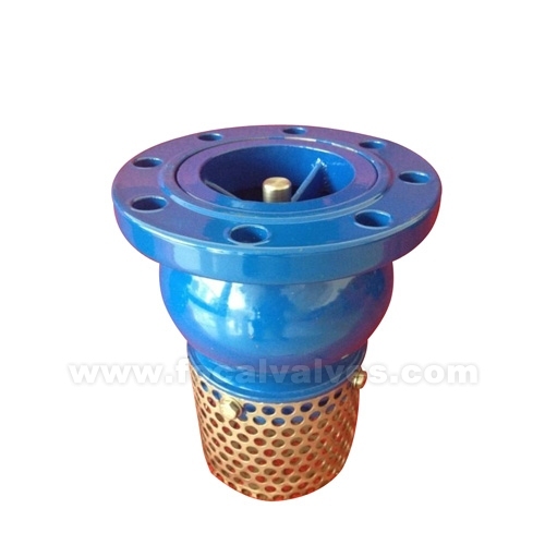 foot valve