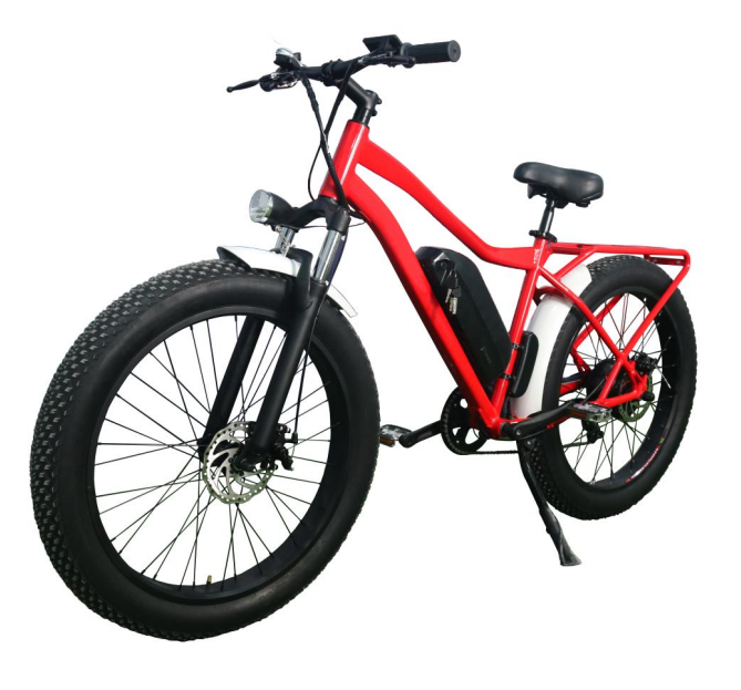 racing electric bicycle