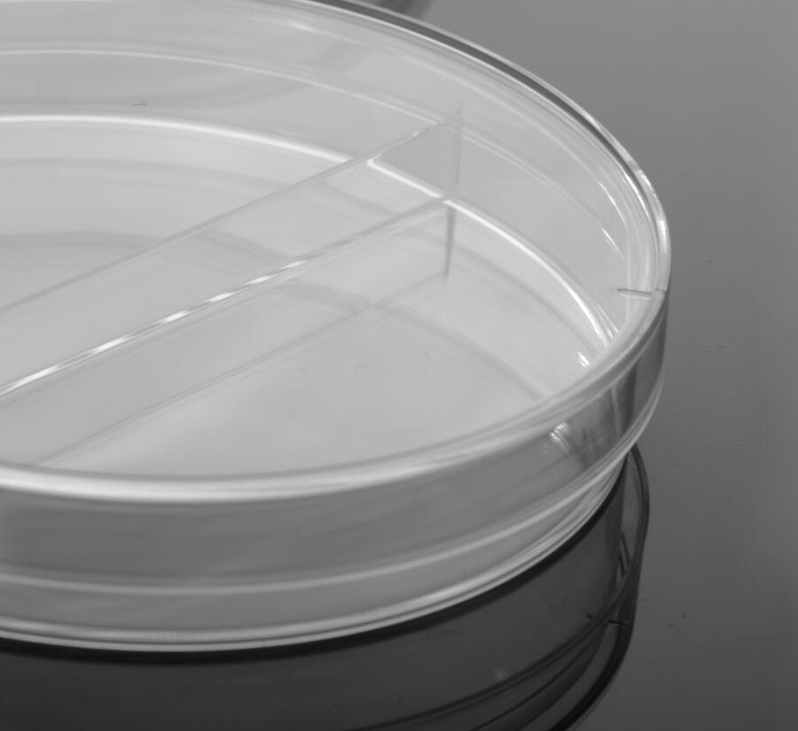 90 mm -es Petri -csészék 2 rekeszek