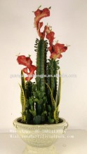 Artificial ball cactus,cactus plants outdoor &indoor,red cactus foliage plants