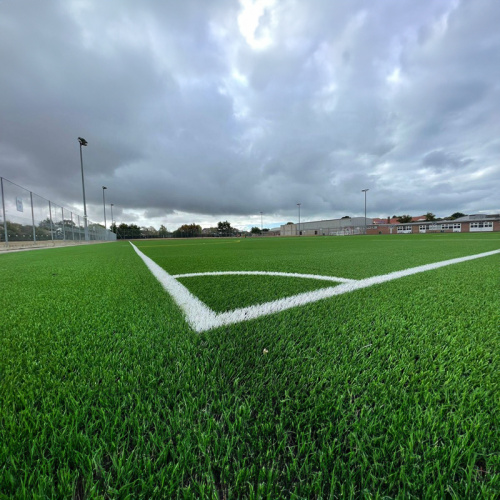 Jeugd rugby veld kunstmatig gras