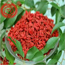 Pestisida Rendah Konvensional Goji Berries A Grade