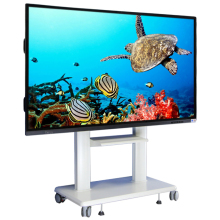 75 inch Interactive Window Displays