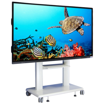 75 inch Interactive Window Displays