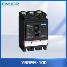 YBRM5-100 Thermomagnetic Device for Circuit Security