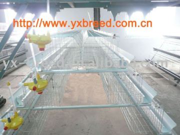 poultry farm house for layer chickens