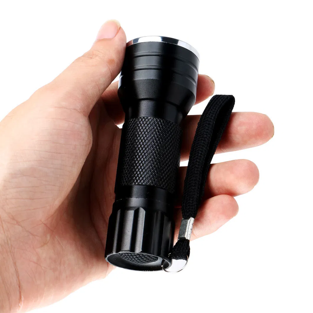 Portable Handheld Torch for Eliminating Dog Urine Stains