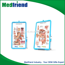 Understanding Ulcer Disease Board