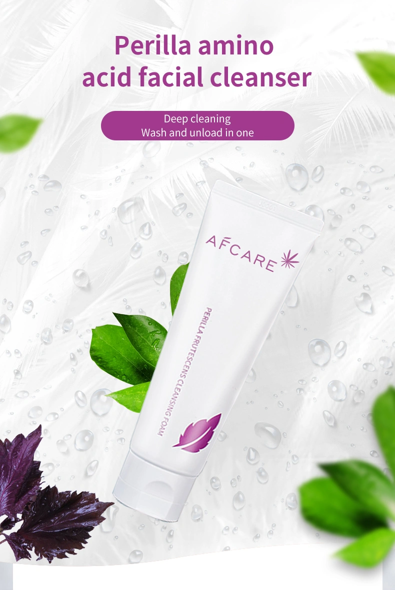 Most Popular Amino Acid Facial Cleanser Gentle Cleansing Anti Acne Spots Remover Face Wash for Skin Care