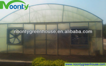 Plastic Film Tunnel Greenhouse