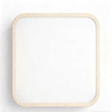 Ceiling Lamp with Color Temperature Control