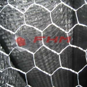 Galvanis Sebelum Tenun GBW Hexagonal Wire Netting