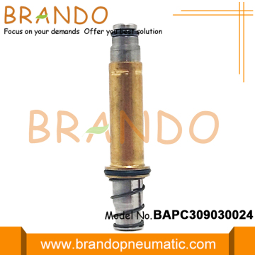 Automobile Solenoid Valve Stem Plunger Assembly