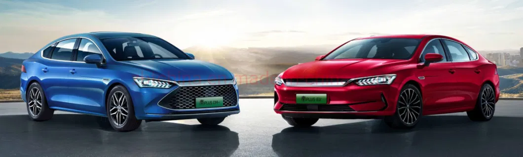 180nm 136HP Long Range Qin Plus EV Fastback Electric Vehicle 2WD Smart Auto Car CCS Acc Sedan with Panoramic Sunroof