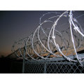 PVC Coated Razor Wire Fence With Low Price