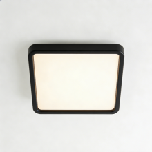 Ceiling lamp with wide light