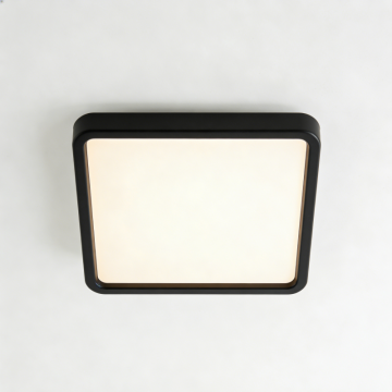 Ceiling lamp with wide light