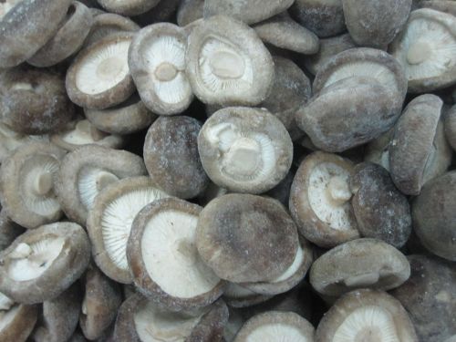 Delicious Iqf Freezing Fresh Mushrooms Dia 6 ~ 7cm , Chinese New Crop Frozen Vegetables