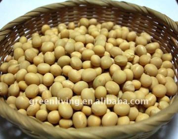 dried soy beans