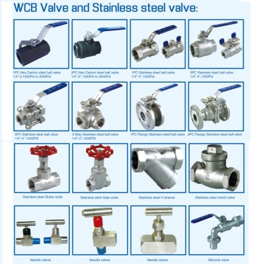 Stainless Steel Pipe Valves