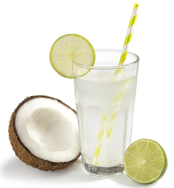 Kokoswasserpulver coconut water powder