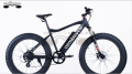 EBIKECOMPANY卸売26 * 4.0インチ750Wビーチスノーファットタイヤ電動自転車